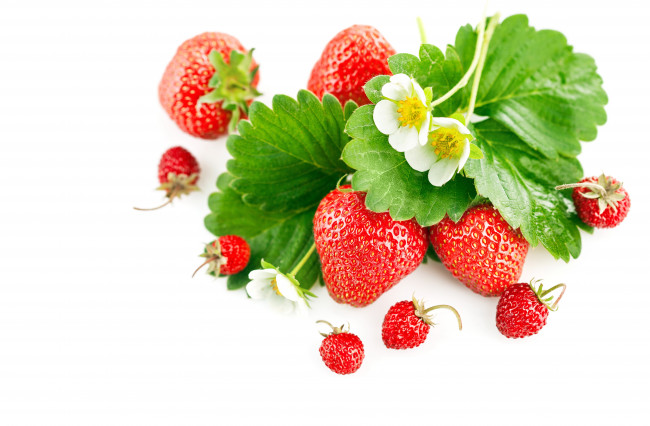 Обои картинки фото еда, клубника,  земляника, ягоды