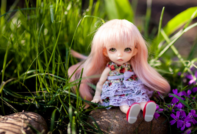 Обои картинки фото разное, игрушки, кукла