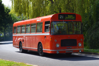 Картинка автомобили автобусы пассажирский транспорт