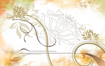 Картинка векторная+графика цветы+ flowers линии полосы хризантемы цветы пятна