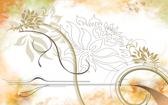 Обои картинки фото векторная графика, цветы , flowers, линии, полосы, хризантемы, цветы, пятна