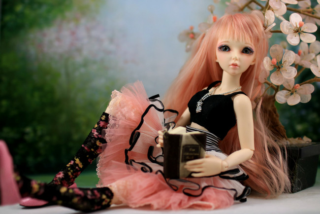 Обои картинки фото разное, игрушки, красавица, книга, волосы, кукла