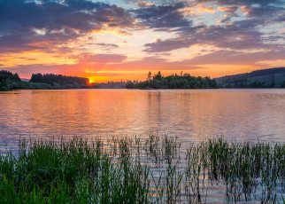 Картинка природа реки озера лес река