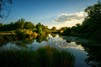 Картинка природа реки озера лес река