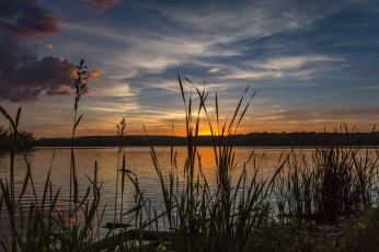 Картинка природа реки озера лес река