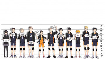 Картинка аниме haikyuu персонажи