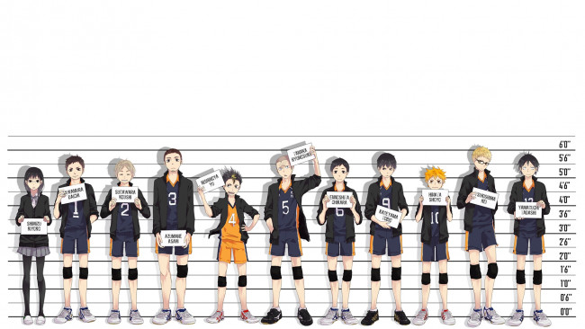 Обои картинки фото аниме, haikyuu, персонажи