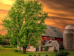 Картинка города -+здания +дома постройка трава птица деревья