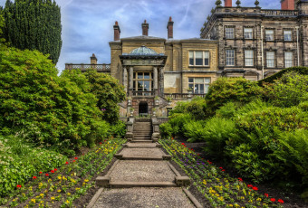 Картинка города -+здания +дома ступени деревья цветы