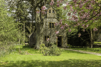 Картинка англия города -+здания +дома трава цветущее дерево