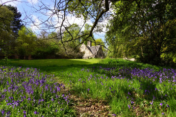 Картинка города -+пейзажи трава цветы деревья