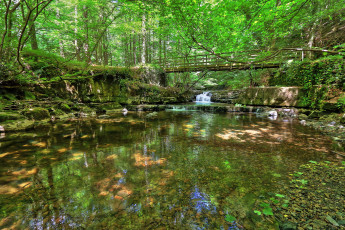 Картинка природа реки озера река лес