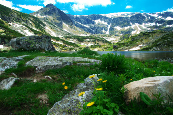 Картинка природа горы деревья камни