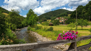 Картинка города -+пейзажи река мост дома цветы лес