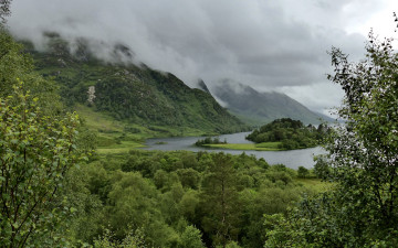 Картинка природа реки озера река лес