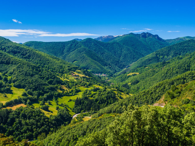 Обои картинки фото природа, горы, деревья, небо