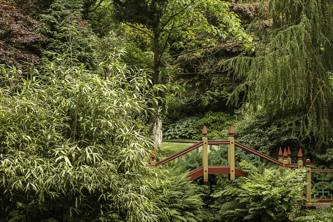 Обои картинки фото природа, парк, деревья