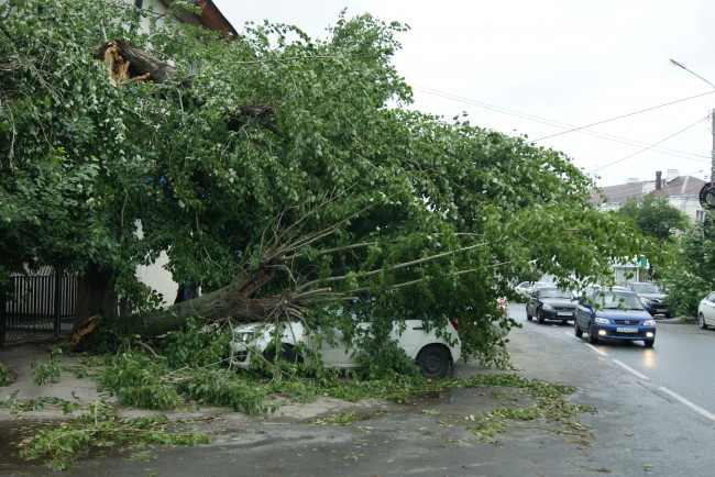 Обои картинки фото природа, стихия, автомобили, дома, дерево, улица, небо