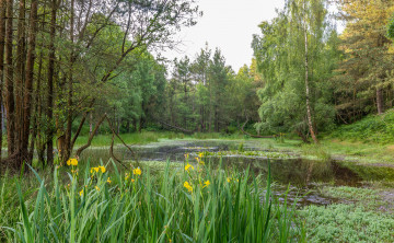 Картинка природа реки озера простор