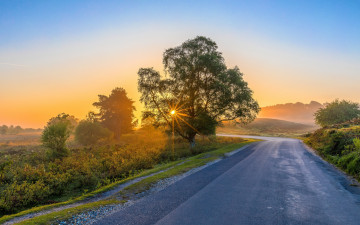 Картинка природа дороги простор