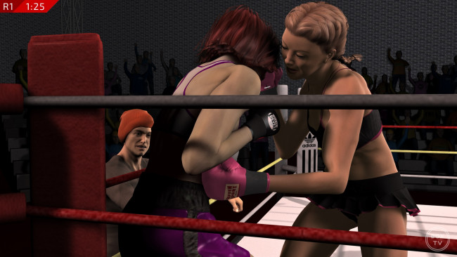 Обои картинки фото 3д графика, спорт , sport, девушки, взгляд, фон, ринг, бокс