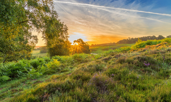 Обои картинки фото природа, восходы, закаты, простор