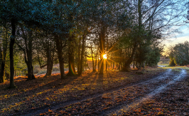 Обои картинки фото природа, дороги, простор