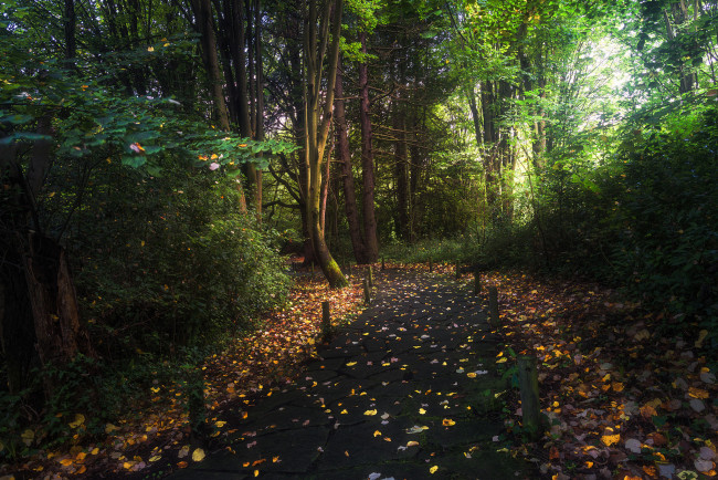 Обои картинки фото природа, дороги, простор