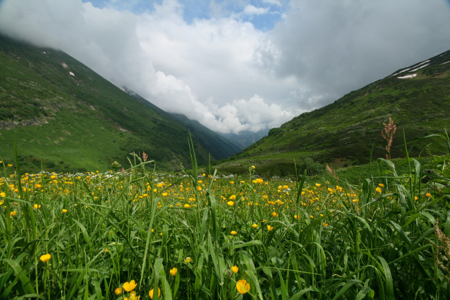 Обои картинки фото природа, луга, простор