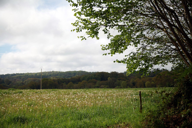 Обои картинки фото бретань, франция, природа, луга