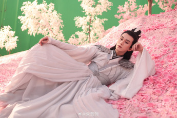 обоя miss the dragon, кино фильмы, zhu, zanjin, чжу, цзаньцзинь