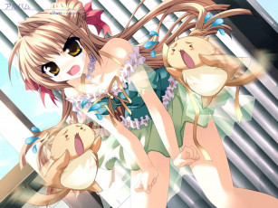 Картинка аниме *unknown другое