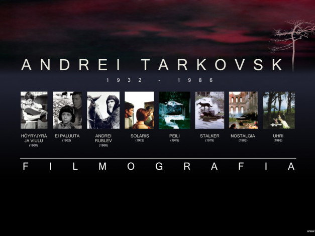 Обои картинки фото кино, фильмы, unknown, другое, андрей тарковский, режиссер, фильмография