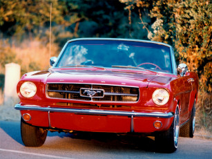 Картинка sent by northwolf автомобили mustang