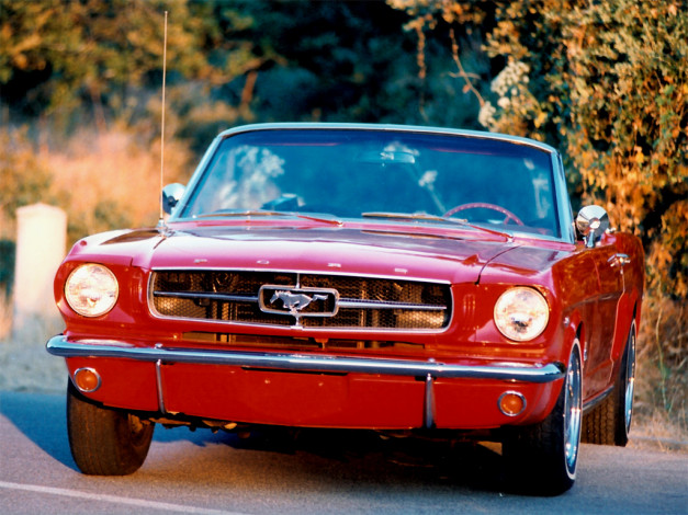 Обои картинки фото sent, by, northwolf, автомобили, mustang