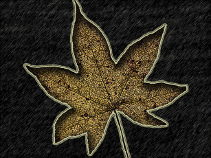 Картинка 3д графика textures текстуры лист текстура