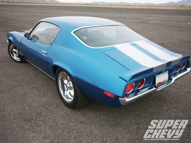 Обои картинки фото автомобили, camaro, birds