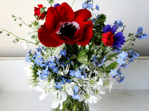 Картинка цветы букеты композиции маки ваза букет