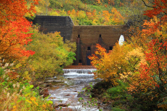 Картинка природа реки озера река деревья дамба