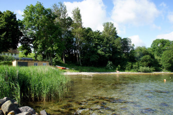 Картинка природа реки озера река деревья