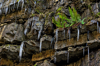 Картинка природа другое сосульки скала