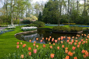 Картинка природа парк национальный keukenhof lisse netherlands