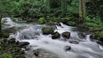 Картинка природа реки озера камни лес река