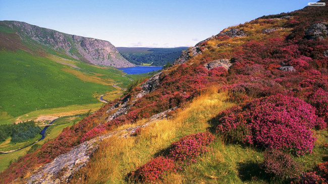 Обои картинки фото beautiful, landscape, природа, горы, цветы, река, долина