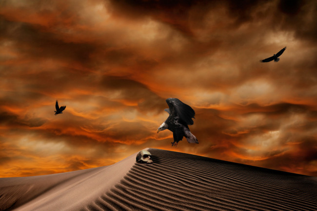 Обои картинки фото 3д, графика, horror, ужас, тучи, песок, орлы, череп