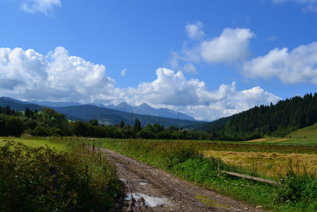 Обои картинки фото природа, дороги, дорога, трава, пейзаж, погле