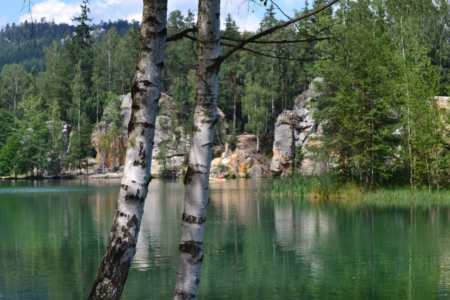 Обои картинки фото природа, реки, озера, березы, скалы, озеро, лес