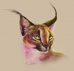 обоя рисованные, животные,  рыси, рысь, животное, морда