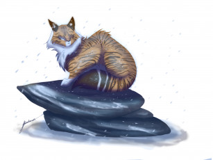 Картинка рисованные животные +коты белый фон животное камень