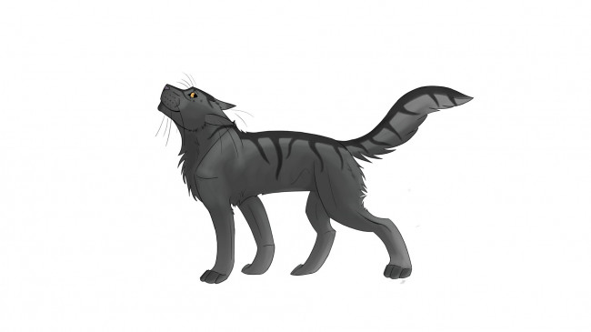 Обои картинки фото рисованные, животные,  волки, белый, фон, животное